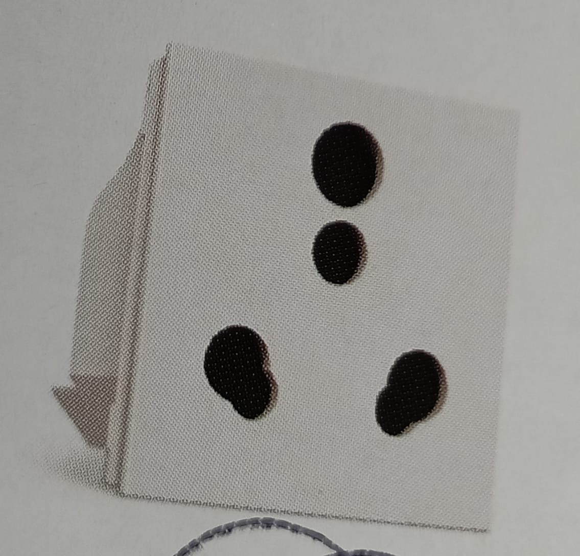 VINAY 6A &16A SOCKET WITH SHUTTER WHITE