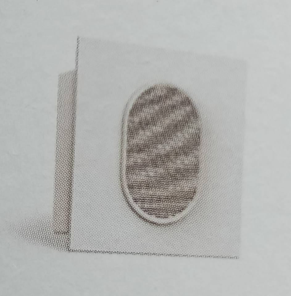 VINAY BUZZER 220/250V WHITE 2 MODULE