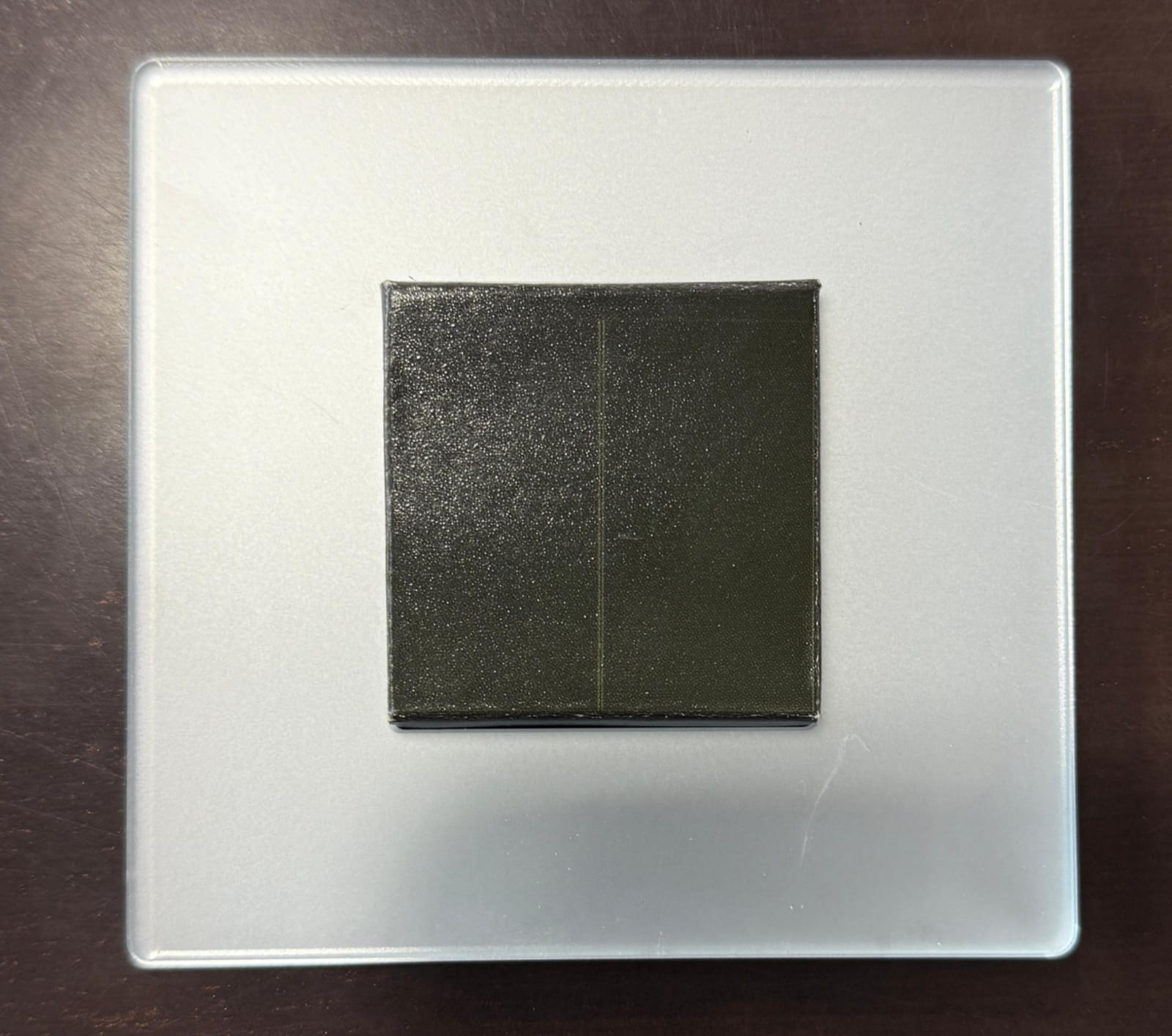 LEO FROST SILVER COVER PLATE 1 MODULE