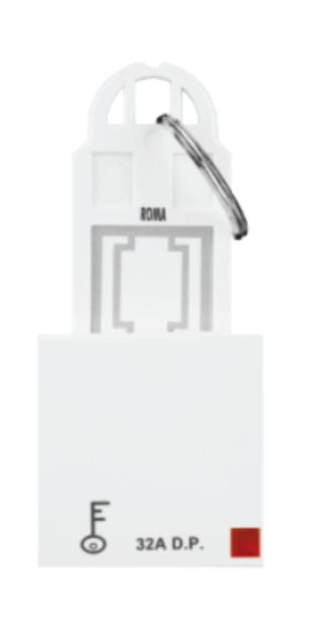 ANCHOR ROMA 32A D.P. MAIN SWITCH WITH KEY RING TAG CASE 120